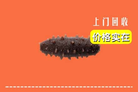 承德围场县回收海参